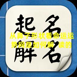 从鼻子形状看命运运势网是如何解  读的